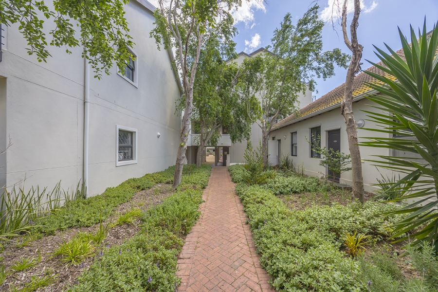 To Let 3 Bedroom Property for Rent in Mowbray Western Cape